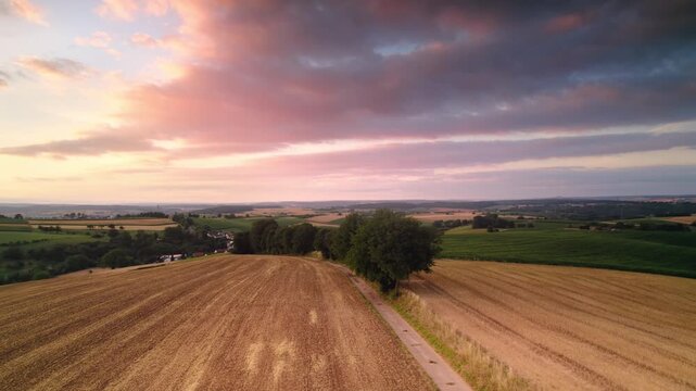 Aerial footage of a beautiful dawn over an idyllic rural landscape with trees, dry fields on hills and a romantic glowing sky with pink clouds before sunrise 