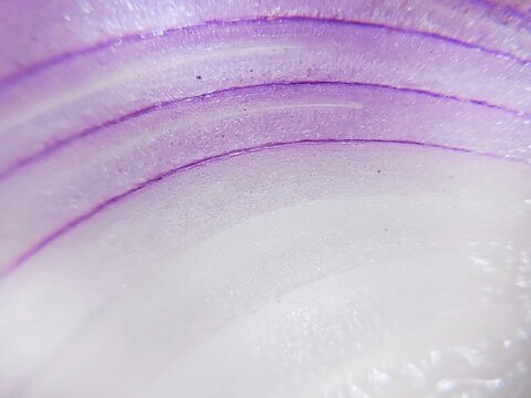 extreme macro surface texture of sliced ​​red onion
