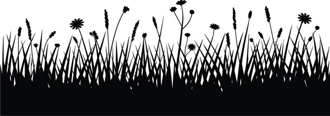 Wild Grass Border Silhouette, Meadow Plants Vector Illustration for Nature Landscape Decorative Design Collection © MdMajnur