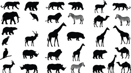 Set of wild animal silhouettes featuring lion elephant giraffe zebra bear rhino and camel isolated on white background vector illustration. © Shirin