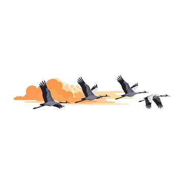 Graceful flock of cranes soaring through a vibrant, stylized orange sky, illustrating concepts of freedom, journey, and natural wildlife migration