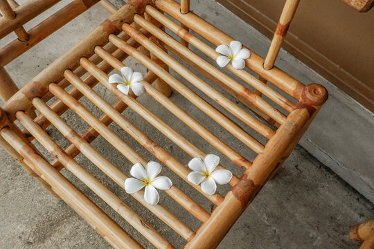 Top view of  frangipani flowers on rattan or bamboo background,detailed craftsmanship and pattern,wooden chair and table,scandinavian style.