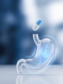 Medical Illustration of a Pill Entering a Transparent Human Stomach for Digestive Health