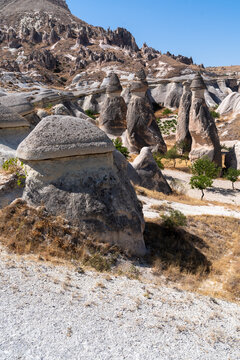 vertical photography of rock formations called fairy chimneys and mountain in Pasabag, cappadocia on a summer day.