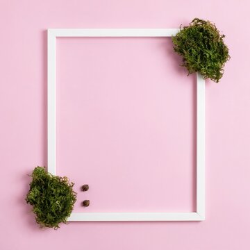 White frame with green moss on a solid pastel pink background