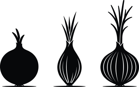 Black onion shallot and garlic silhouette icons set isolated on white background vector illustration for food design
