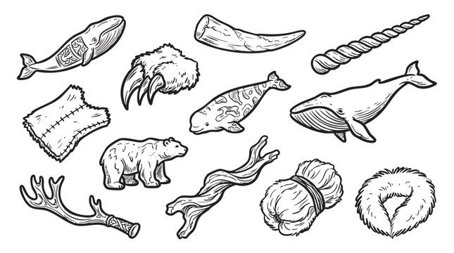 Collection of traditional indigenous arctic materials including whale, bear paw, antlers, fur, and various animal parts.