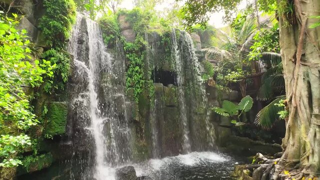 view through palm trees green leaves jungle waterfall fantasy lagoon clean water, fairy fantasy summer wild nature tropical scenery fresh branch foliage sun rays flare, rest calm travel paradise video