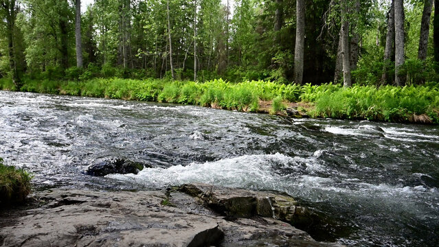 Russian River Conservation 