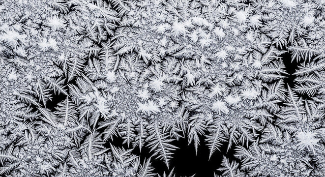 Intricate white frost crystals on a black background