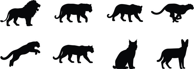 PrintWild big cats vector silhouette bundle with lion tiger cheetah leopard panther lynx and serval isolated shapes © MstKhodeza