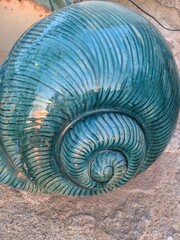 spiral shell on green background © By Alex Xouris