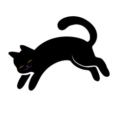 Black cat jumping leaping play halloween feline pet © BlackGroundMeYou 