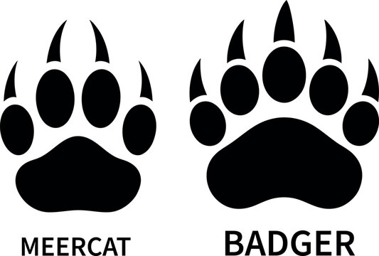 Black and white meercat and badger paw prints vector illustration