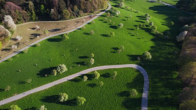 Aerial bird's-eye view of a scenic bendy road winding its way through a very idyllic rural landscape with trees on a meadow