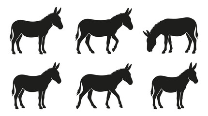 Fototapeta premium Black donkey silhouette standing isolated on white background 