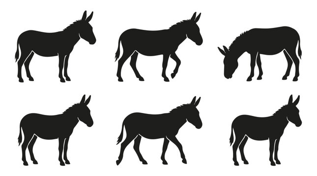 Black donkey silhouette standing isolated on white background
