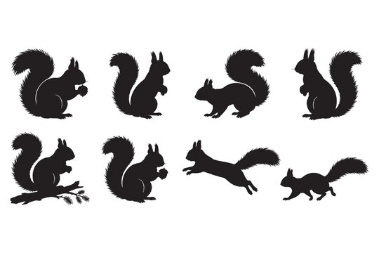 Black silhouette collection of cute squirrels in various poses