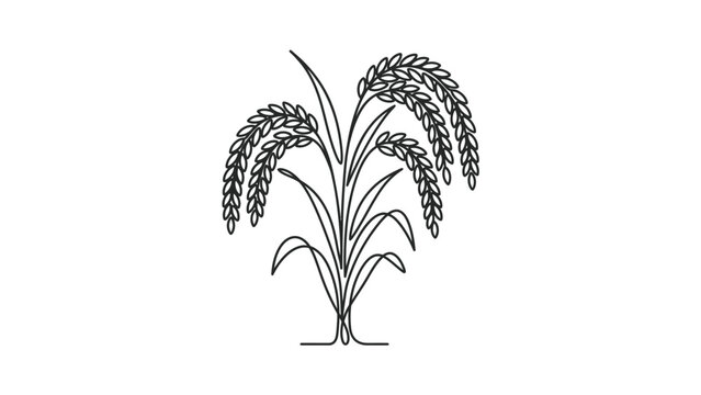 Minimalist Line Art of Rice Plant Stalk with Grains