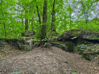 Ruiny starego bunkra  © WalDec