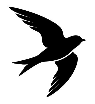 Black silhouette of a flying swallow bird as isolated element