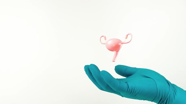 A doctor's hand, wearing green gloves, shows the uterus. Women's health, cervical cancer prevention, routine gynecological exam. Image isolated on a white background.