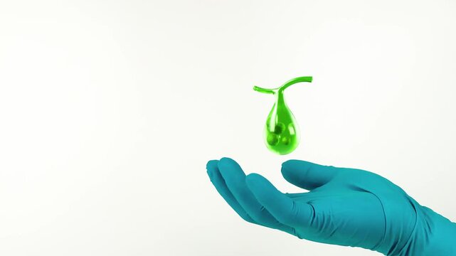 A doctor's hand, wearing green gloves, shows the gallbladder. Digestive health, gallstone prevention, and routine cholecystitis. Isolated on a white background.