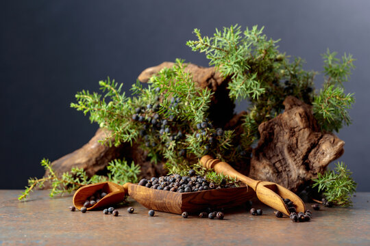 Juniper berries in wooden dish and green branches.