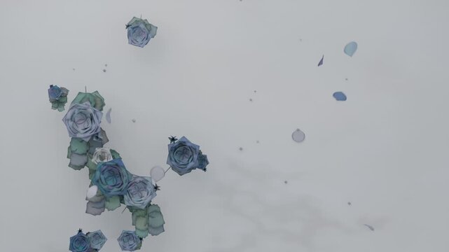 Releasing teal rose cluster shedding petals across white surface under breeze, droplets, copy space