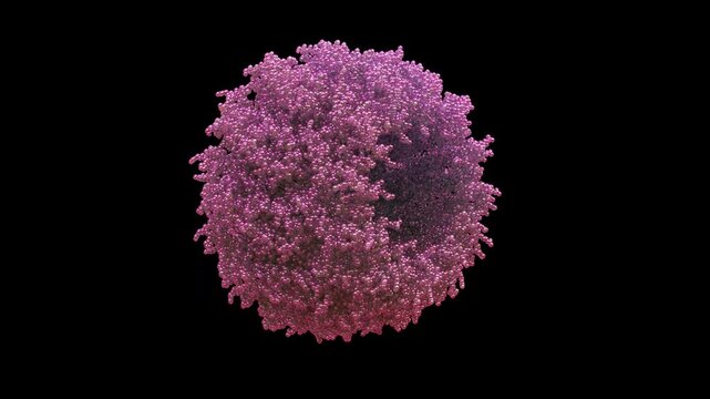 3d structure of cryo-EM engineered oncolytic herpes simplex virus hsv-1 capsid, enveloped dna virus for targeted cancer immunotherapy, primarily for melanoma and solid tumors seamless rotate animation