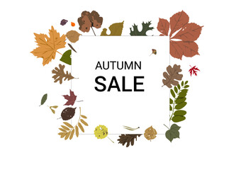 Fototapeta premium Square autumn banner template decorated with colorful fallen tree leaves. Modern seasonal background for social media, promotions, greetings, advertisements, web banners, and marketing designs.