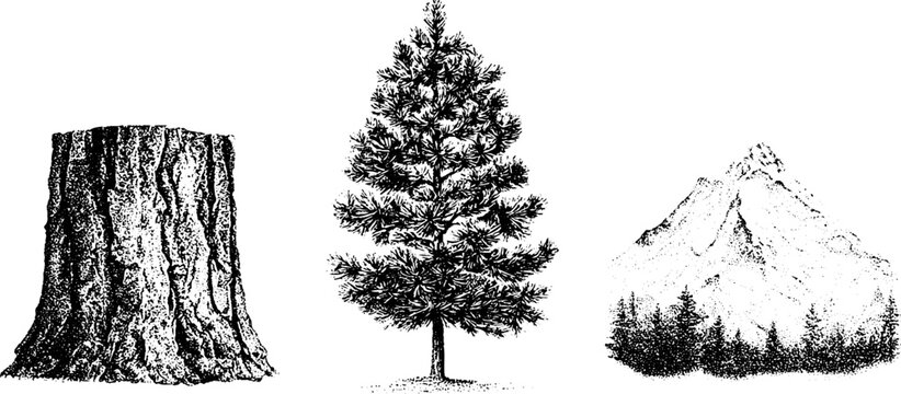 Stippled pine stump bark and mountain engraving trio in black and white for rustic nature poster background and label design