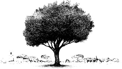 Fototapeta premium Solitary yew tree in churchyard black and white stipple landscape illustration for memorial background and nature design
