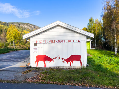Vestsida, Norway; September 29 2024: White wooden facade of a wild game shop in norway, decorated with two fighting red deer silhouettes