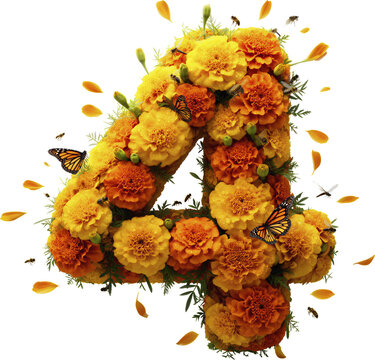 Numero 4, cempasuchil, catrinas, sombrero, garbanzera, flor, naranja, petalos, mariposas, corazon, craneo, calavera, catrin, velas, accesorios, ornamentos, elegante, decoraciones, objeto, celebracione