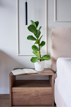 Bedside table with potted plant and open notebook next to bed in modern bedroom