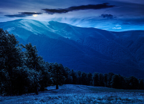carpathian mountain landscape in summer at night. full moon over primeval beech forest on the grassy hill. mysterious scenery of ukrainian highlands. pristine ecosystem of europe