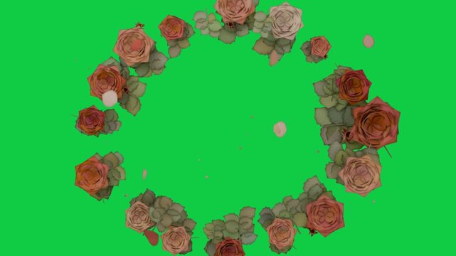 Play starting wreath forming, roses aligning, petals drifting to form center ring on transparent bg