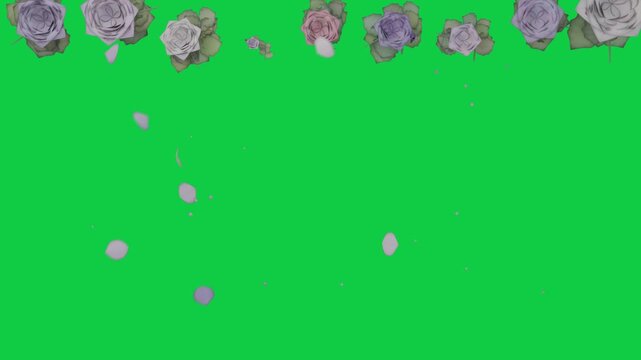 Flower garland shedding pastel petals drifting downward rotating with dots for decor on transparent