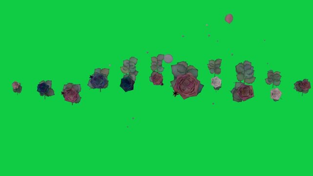 On reveal floral row forming, shedding petals, particles gathering on transparent bg for overlay