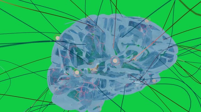 Orange trace moving along axon starting reveal clear brain forming on clear void mapping network