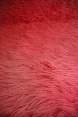 Fototapeta premium Bright red rug with long fibers spread across a wooden floor in a room