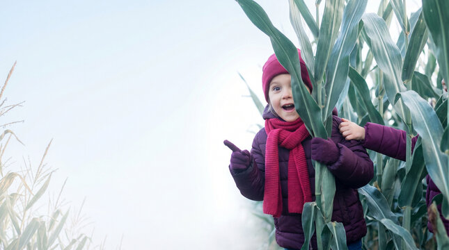 Young child smiling and pointing while playing in corn maze  