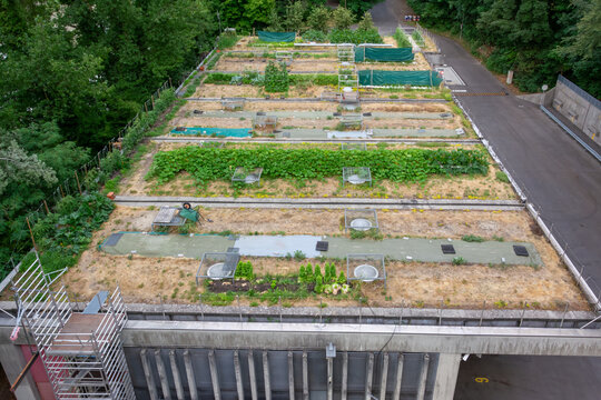 Planted technical roof of a modern waste transfer complex