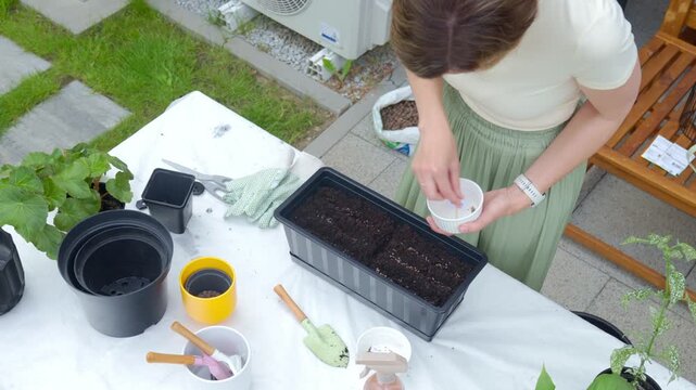 Woman sows parsley seeds by hand in planter filled with soil on outdoor gardening table