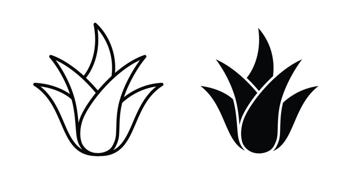 Aloe vera icon black and white pictogram set