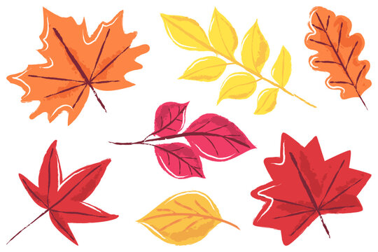 Autumn colorful oak, beech, ash leaves set. Vector watercolor illustration. Fall seasonal print floral design elements
