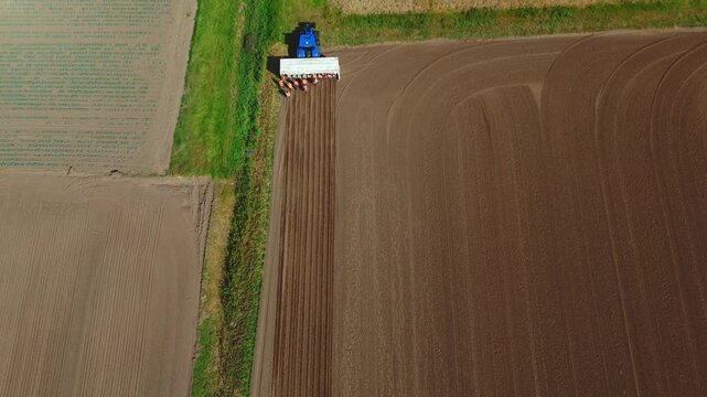 Aerial view of tractor plowing neat rows. Field contrasts with green and brown earth. Tractor moves steadily across open land. Farmer's focused, determined expression. Ideal for farming, agriculture