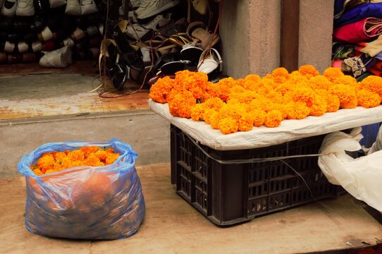Fresh Orange Marigold Flowers Sold at a Traditional Market near Patan, Nepal