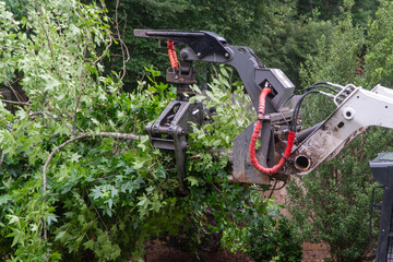 Powerful grapple attachment on heavy equipment clearing a large pile of freshly cut green tree branches and foliage during a professional residential tree removal and landscaping project. © Michael